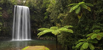 Milla Milla Falls - QLD T (PBH4 00 16933)